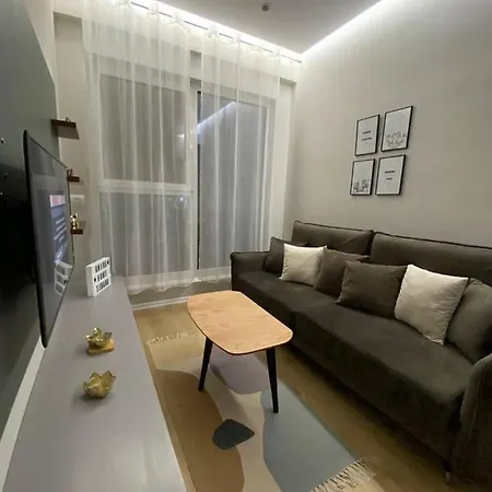 Anika 1